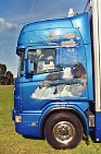 Scania 144 530